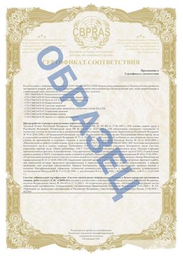 Образец Приложение к СТО 01.064.00220722.2-2020 Лиски Сертификат СТО 01.064.00220722.2-2020 